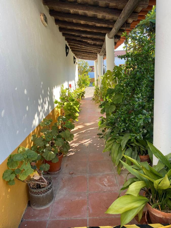 Casa De Sao Cucufate - Casa De Campo Vila de Frades Kültér fotó
